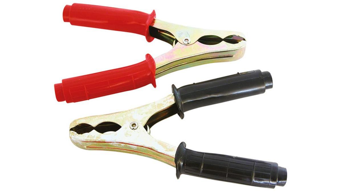 Carpoint+Pinces+pour+bornes+de+batterie+Carpoint+120A